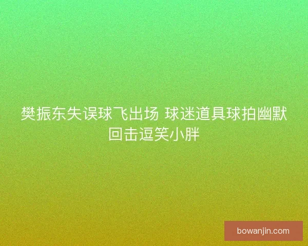 樊振东失误球飞出场 球迷道具球拍幽默回击逗笑小胖 樊振东失误球飞出场 球迷道具球拍幽默回击逗笑小胖